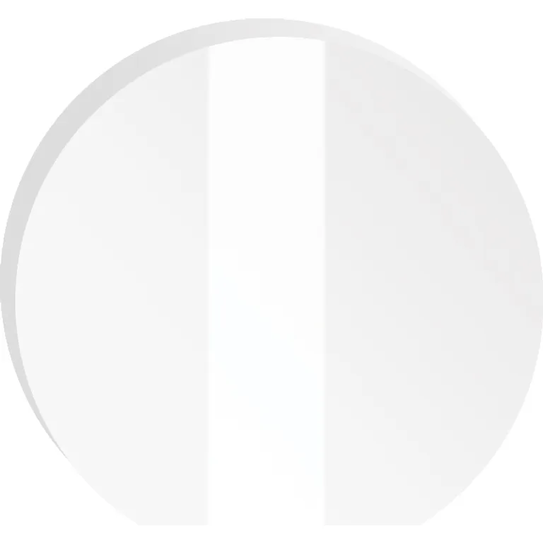 Скло прозоре для захисних окулярів кругле діаметр 49,5 мм товщина 2,0 мм (матеріал: мінеральне загартоване скло) VITA